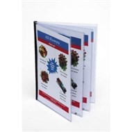 Marbig Document Protector Pvc A4 4 Pockets Clear