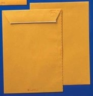 Cumberland Envelopes Pocket C4 324X229 85Gsm Strip Seal E/O Gold Box 250