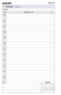 Debden Executive Dayplanner Refill Ex5100 Day To Page
