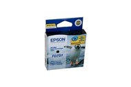 Epson T0751 Inkjet Cartridge Black