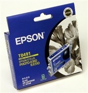 Epson T0491 Inkjet Cartridge Black