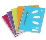 Colourhide Spiral Notebooks