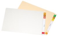 Avery 46501 Lateral Files Foolscap White Pack 15
