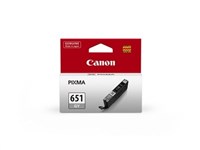 Canon Cli651Gy Inkjet Cartridge Grey