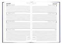 Debden Silhouette Series Diary S4100 Week To View A4