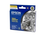 Epson T0341 Inkjet Cartridge Photo Black