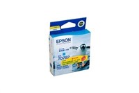 Epson T0752 Inkjet Cartridge Cyan