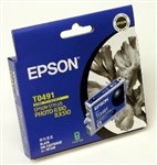 Epson T0491 Inkjet Cartridge Black