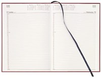 Collins Appointment Diaries