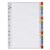 Marbig Dividers Index A4 Colour 1-31 Tab